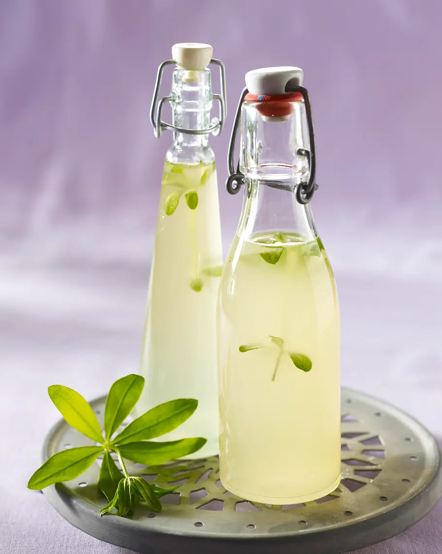 Waldmeister-Sirup Rezept