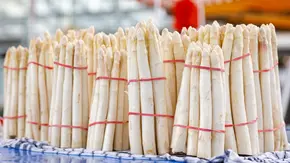Weiße Spargelstangen stehen nebeneinander in Gebinden auf einem Marktstand mit rot-weiß gestreiften Sonnenschirmen. - Foto: LECKER @ Bauer Media Group / Canva / dmitrynaumov
