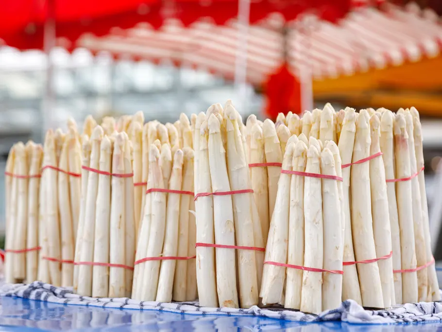 Spargelzeit in Deutschland Weiße Spargelstangen stehen nebeneinander in Gebinden auf einem Marktstand mit rot-weiß gestreiften Sonnenschirmen.