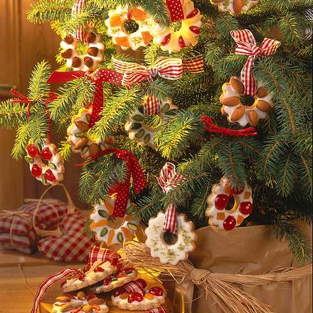 Weihnachtskränzchen mit Nüssen und kandierten Früchten Rezept Weihnachtskränzchen mit Nüssen und kandierten Früchten Rezept