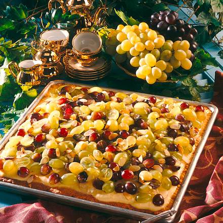 Weintraubenkuchen vom Blech Rezept Weintraubenkuchen vom Blech Rezept
