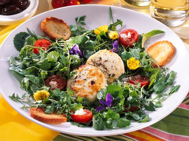 Wildkräutersalat mit Ziegenkäsetalern Rezept Wildkräutersalat mit Ziegenkäsetalern Rezept