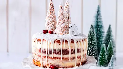 Winterliche Lebkuchen-Torte Rezept - Foto: Are Media Syndication 