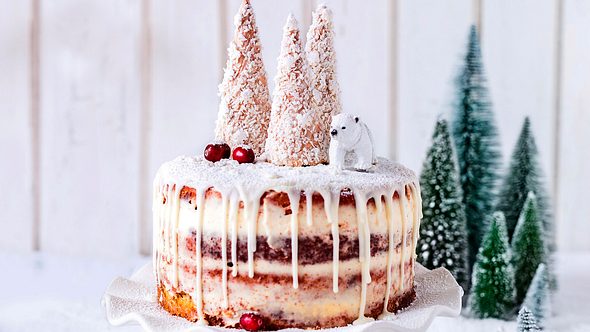 Winterliche Lebkuchen-Torte Rezept - Foto: Are Media Syndication 