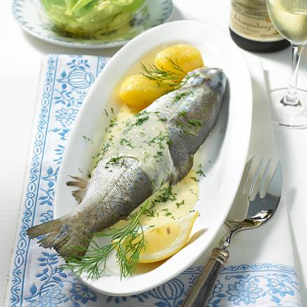 Wisperforelle in Rieslingrahm Rezept Wisperforelle in Rieslingrahm Rezept