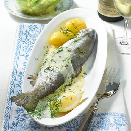 Wispertal-Forelle in Rieslingrahm Rezept