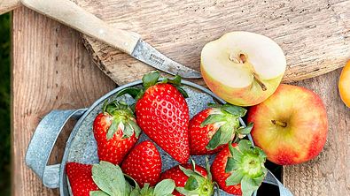 Wünsch-dir-was-Füllung für gedeckte Kuchen Rezept - Foto: LECKER @ Bauer Media Group
