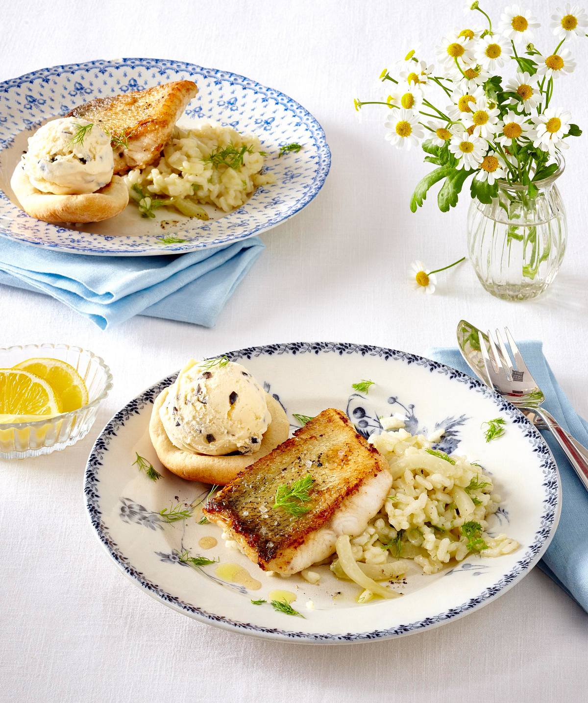 Zander auf Fenchel-Risotto mit Oliveneis Rezept