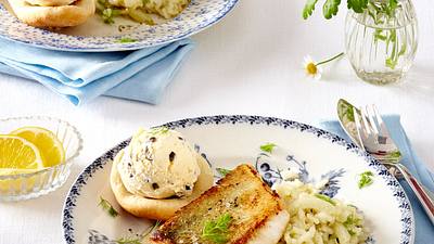 Zander auf Fenchel-Risotto mit Oliveneis Rezept - Foto: Fucke, Johannes
