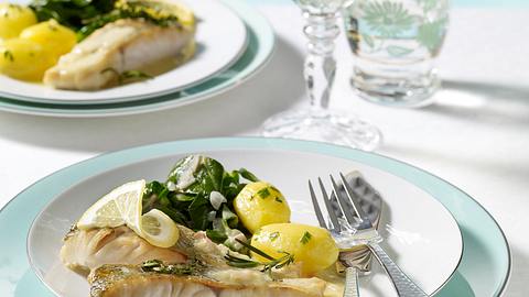 Zander in Weinbutter Rezept - Foto: House of Food / Bauer Food Experts KG