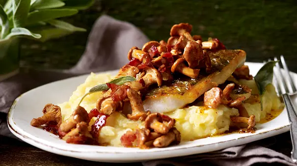 Ein gebratenes Zanderfilet liegt mit Pfifferlingen, Speck und Salbeiblättern auf Kartoffelpüree auf einem weißen Teller. - Foto: LECKER @ Bauer Media Group Ein gebratenes Zanderfilet liegt mit Pfifferlingen, Speck und Salbeiblättern auf Kartoffelpüree auf einem weißen Teller. - Foto: LECKER @ Bauer Media Group