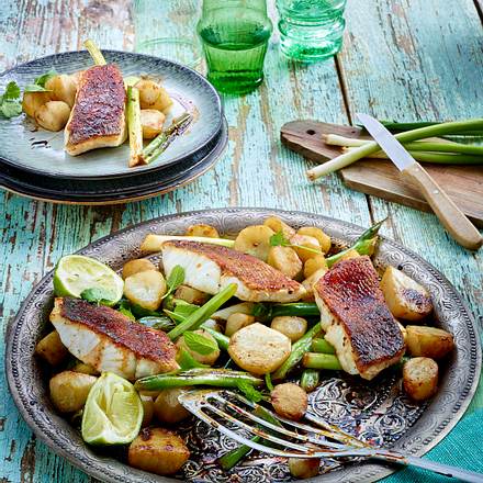 Zanderfilet mit Topinamburgemüse Rezept Zanderfilet mit Topinamburgemüse Rezept
