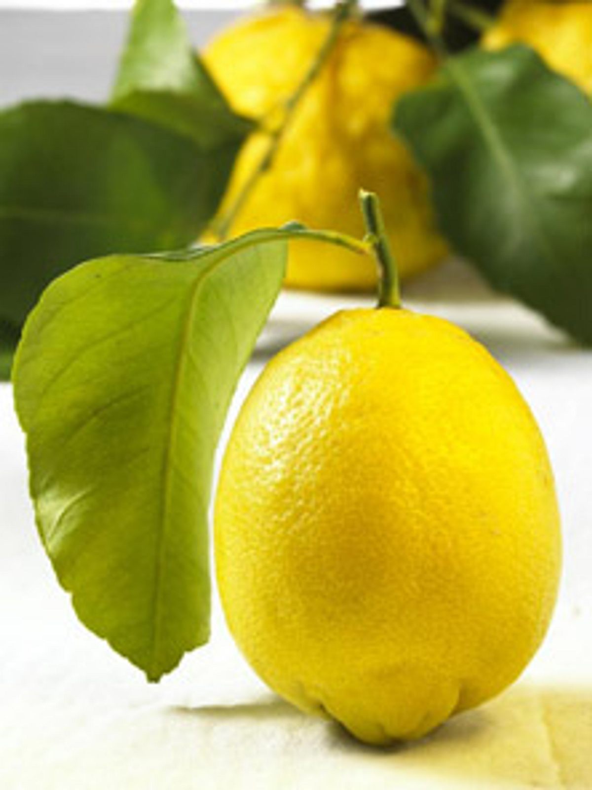 Zitronenschale abreiben - zitrone_h