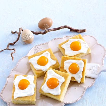 Zitronen-Aprikosen-Kuchen vom Blech Rezept Zitronen-Aprikosen-Kuchen vom Blech Rezept