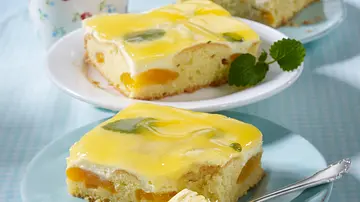 Zitronen-Aprikosenkuchen mit Fruchtsaftguss Rezept - Foto: LECKER @ Bauer Media Group Zitronen-Aprikosenkuchen mit Fruchtsaftguss Rezept - Foto: LECKER @ Bauer Media Group