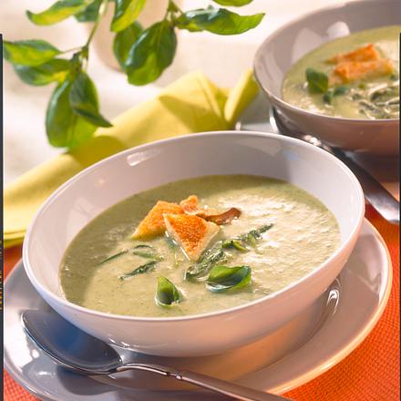 Zucchini-Basilikum-Creme Rezept Zucchini-Basilikum-Creme Rezept