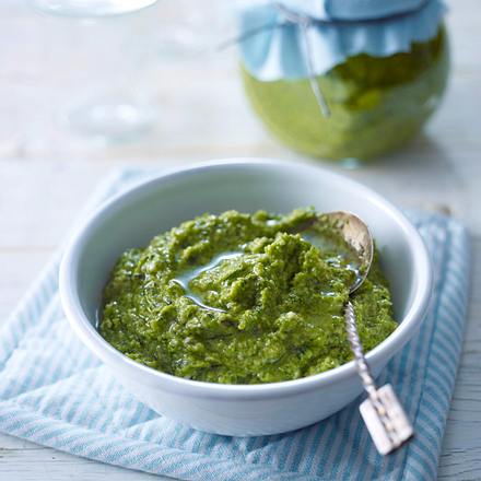 Zucchini-Basilikum-Pesto mit Mandeln und Kürbiskernen Rezept Zucchini-Basilikum-Pesto mit Mandeln und Kürbiskernen Rezept