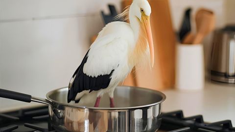 Ein Gasherd mit einer tiefen Pfanne, in der ein lebender Storch zum Braten steht. - Foto: LECKER @ Bauer Media Group / KI generiert / Nicole Molitor