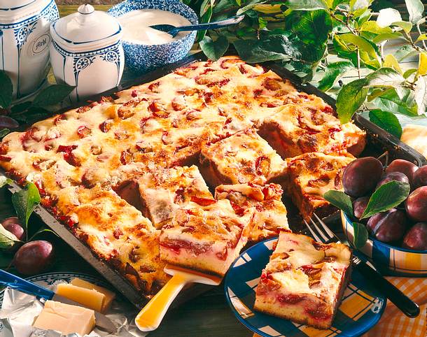 Zwetschen-Schmandkuchen Rezept Zwetschen-Schmandkuchen Rezept