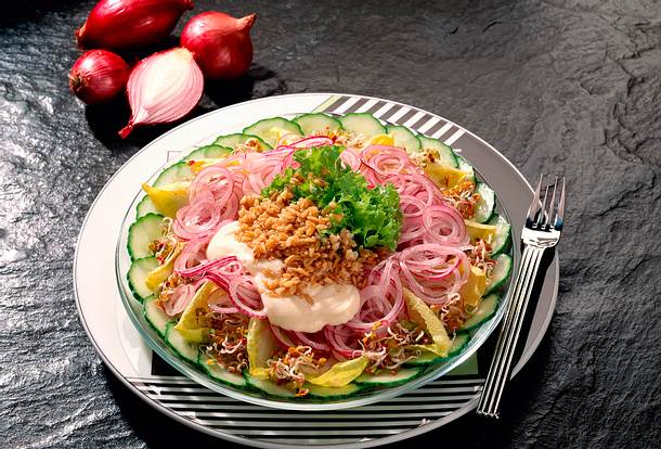 Zwiebelsalat mit Radieschensprossen und Hafer Rezept